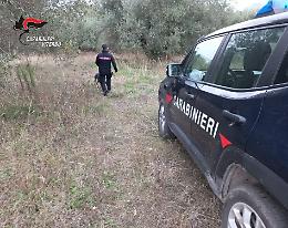 Spaccio di droga nei boschi: sette arresti e sei fogli di via
