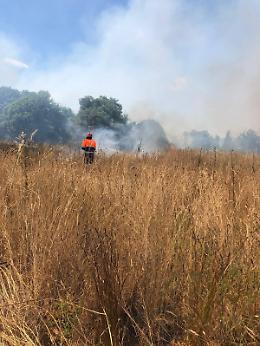 Vasto incendio in zona collinare a Monterosi