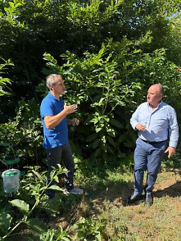 &laquo;Vespa samurai lanciata in 47 siti del Lazio, 35 solo nella Tuscia&raquo;