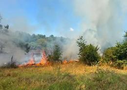 Vasanello: tre ettari di terreno in fumo, le fiamme minacciano le case