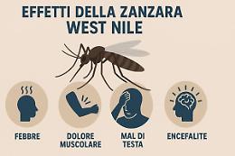 Virus West Nile, due nuovi casi con un decesso nel Lazio