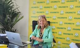 &laquo;Nocciole, nella Tuscia perdite fino a 100 per cento&raquo;