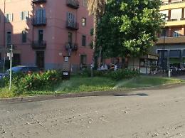 Viterbo: aiuola rigogliosa, svelato il mistero