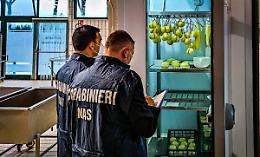 Blitz dei Nas in ristoranti e agriturismi della Tuscia: multe e chiusure