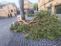 Viterbo: violento nubifragio nella notte, allagamenti e alberi caduti