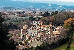 &laquo;Gatta uccisa a colpi di pistola a Vignanello&raquo;