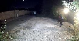 Torna l'allarme ladri a Monterosi, cittadini in allerta