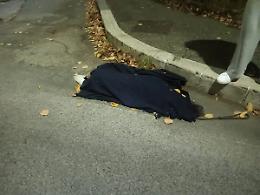 Cane investito e ucciso in via S. Maria della Grotticella