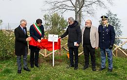 Un albero d&rsquo;ulivo per ricordare Giovanni Palatucci