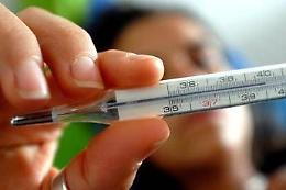 Influenza, il bilancio della stagione: "Simile alle due precedenti, con variante K picco anticipato"