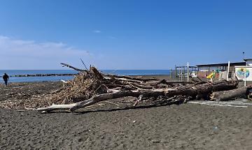 Spiagge di Ladispoli