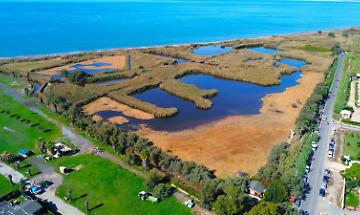 Palude di Torre Flavia