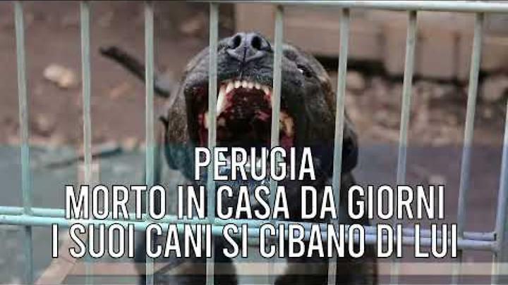 TG +24 edizione 17 Febbraio 2026