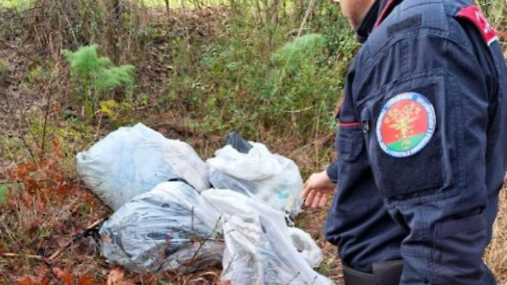 Scoperti rifiuti abbandonati nel bosco, una denuncia