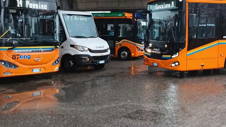 &laquo;Viterbo: disagi e autobus ammassati sotto al ponte&raquo;