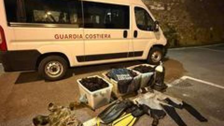 Blitz della Guardia Costiera a Santa Marinella