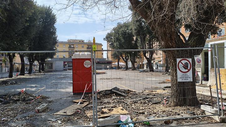 Piazza Regina Margherita, il restyling diventa battaglia sugli alberi