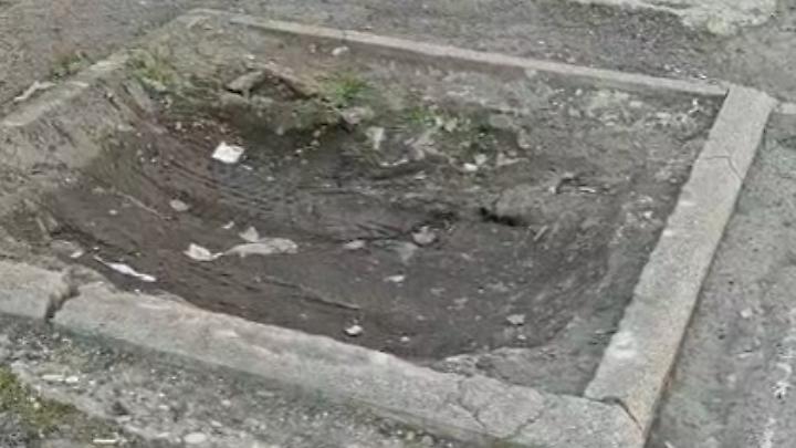 Verde pubblico, ma quando si ripiantuma?