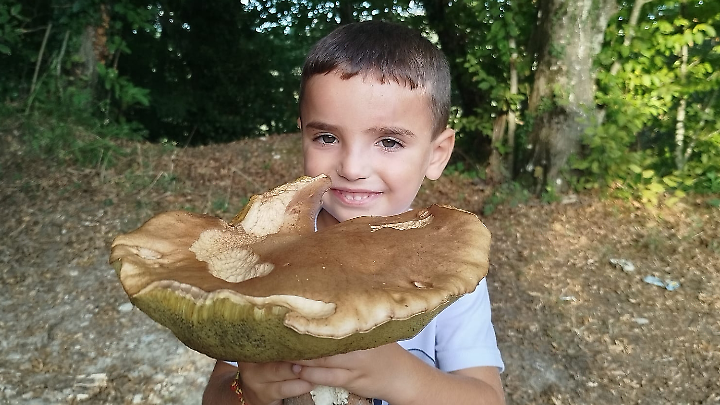 Il buongiorno e l&rsquo;oroscopo del 14 Marzo 2026