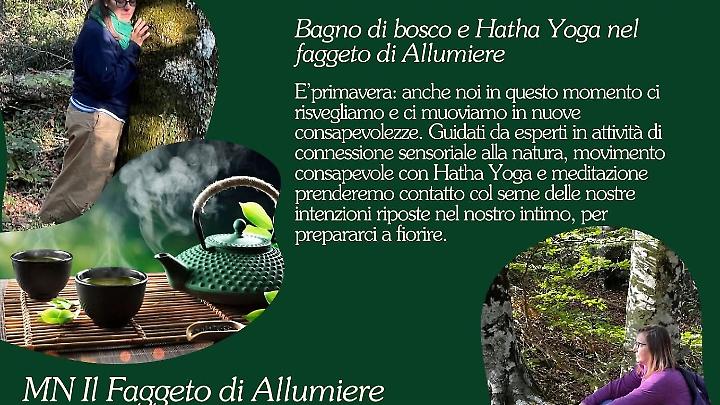 &ldquo;Forest Yoga&rdquo; al Faggeto di Allumiere: la primavera del cuore