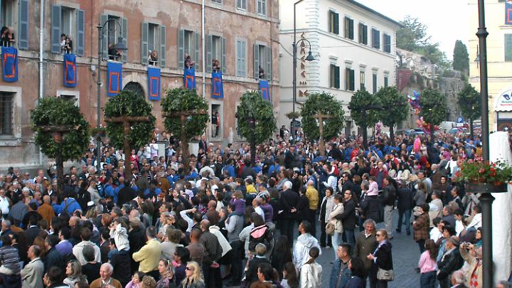 Partite le prove per il trasporto dei tronchi, modifiche alla viabilit&agrave; e alla sosta a Tarquinia