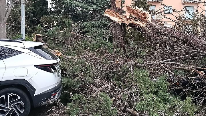 La Tuscia sferzata dal vento: 80 interventi dei vigili del fuoco in due giorni