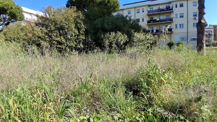 Zona Peep nel degrado, l&rsquo;atto d&rsquo;accusa di Diego Sileoni. &ldquo;L&rsquo;amministrazione Sposetti ignora il quartiere&rdquo;