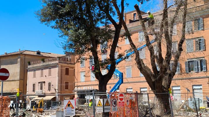 Dal taglio degli ultimi alberi al caso Giannini: cos&igrave; il mercato &egrave; diventato una bomba politica