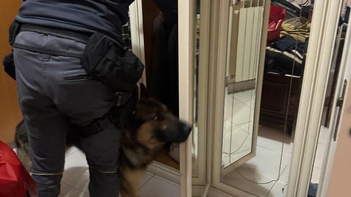 Finanza, smantellato il market della droga nei boschi di Tarquinia: un arresto anche a Santa Marinella