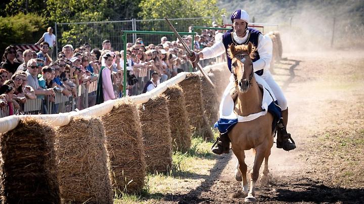 Verso il Palio dell'Anello: incontro su sicurezza e benessere animale