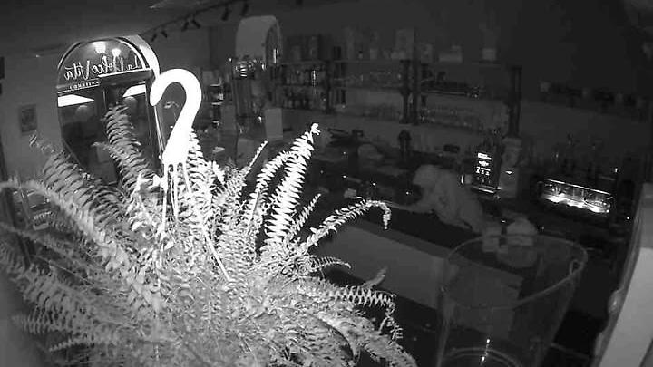 Ladro scassina la porta di una pasticceria