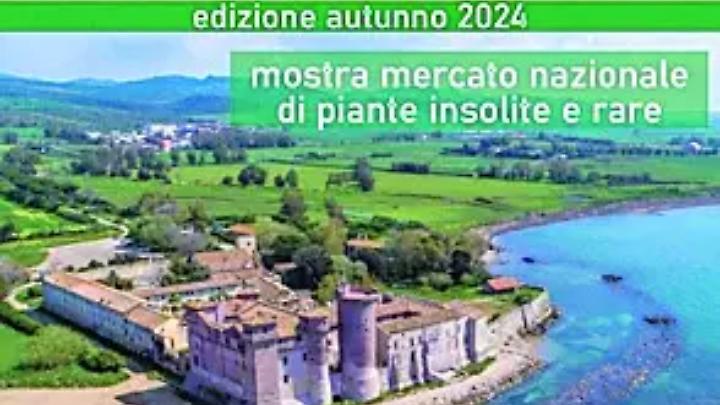 Verde in scena, tutto pronto per l&rsquo;edizione Autunno 2024 dell&rsquo;attesa mostra botanica