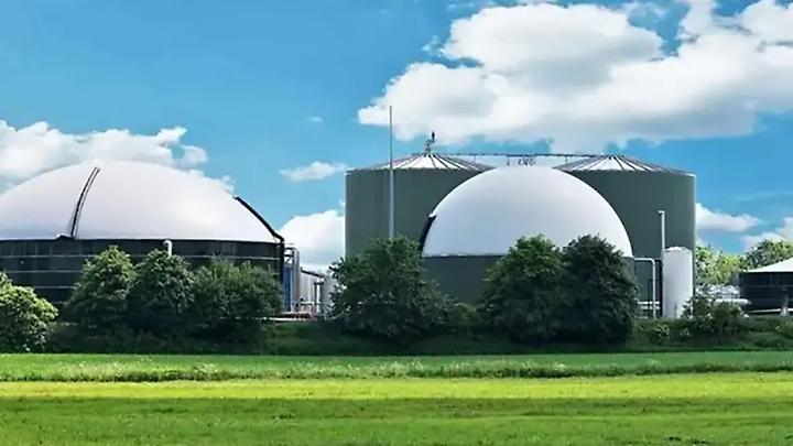 La coerenza biodigerita