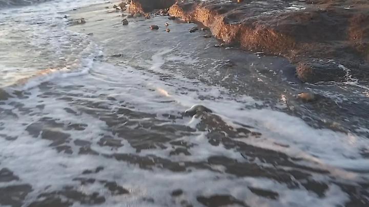 Il caso della Palude approda in Regione