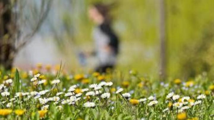 Inverno al capolinea e primavera in anticipo, esperto avverte: "Attenzione alle valanghe"